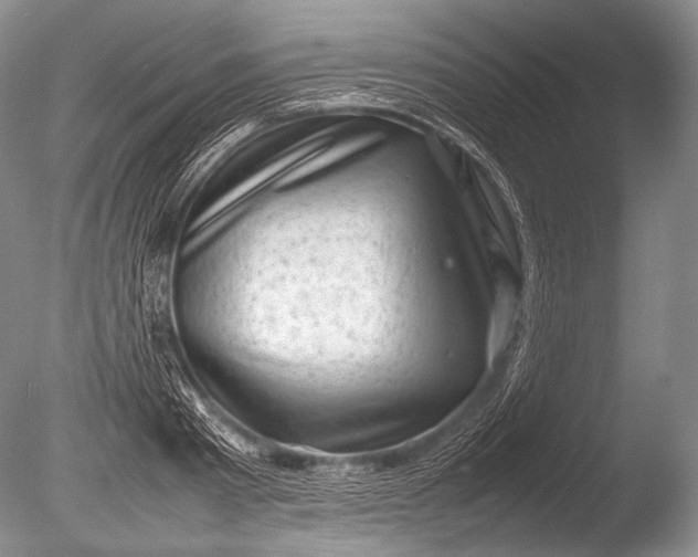 X0000085730793200703301400