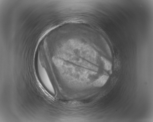 X0000085730795200703301400