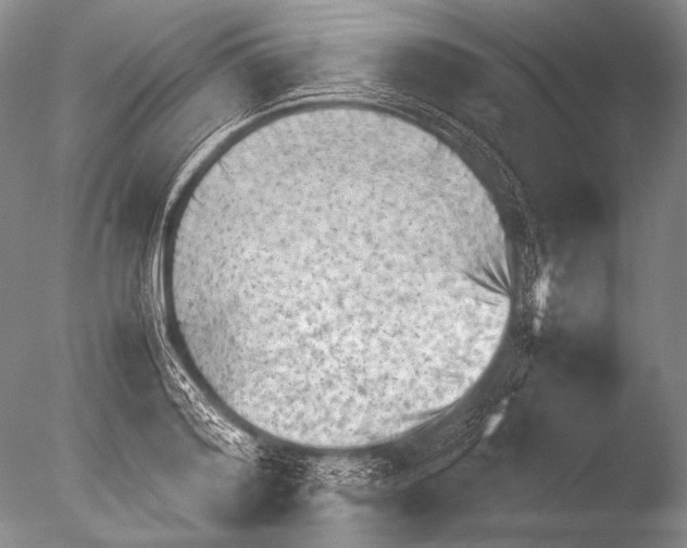 X0000085730796200703301400