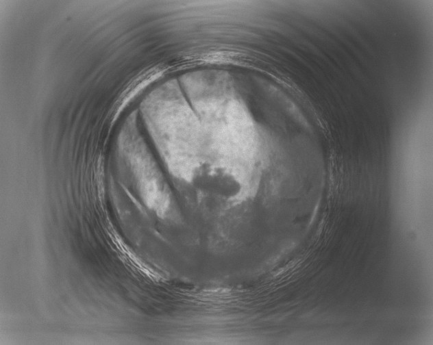 X0000085730798200703301400