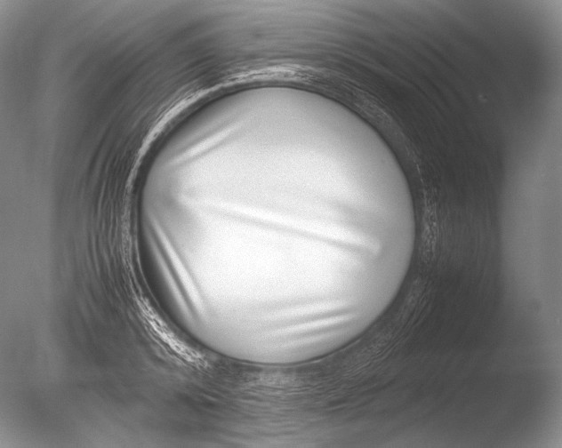 X0000085730800200703301400