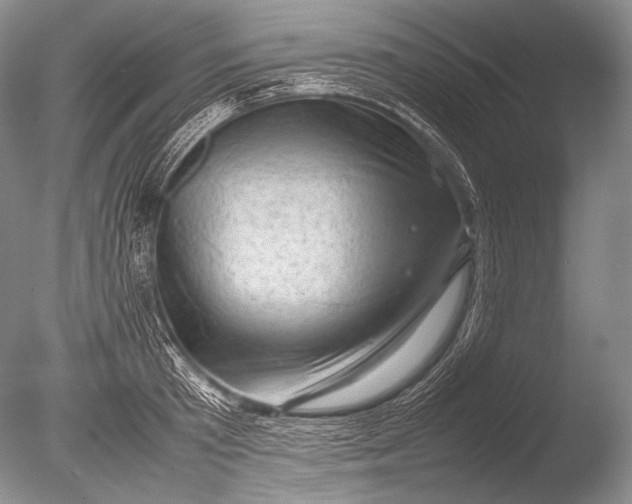 X0000085730801200703301400