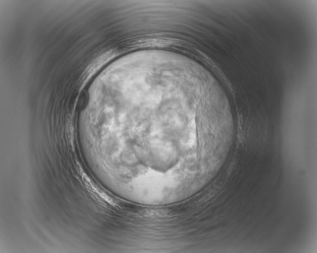 X0000085730802200703301400