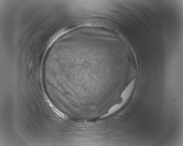 X0000085730803200703301400