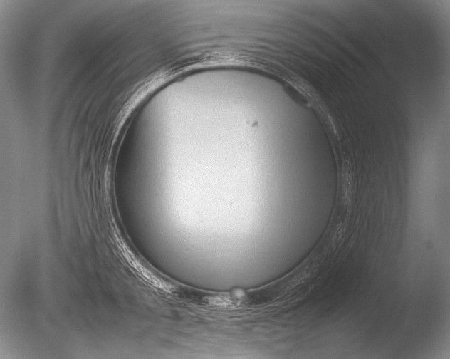 X0000085730805200703301400