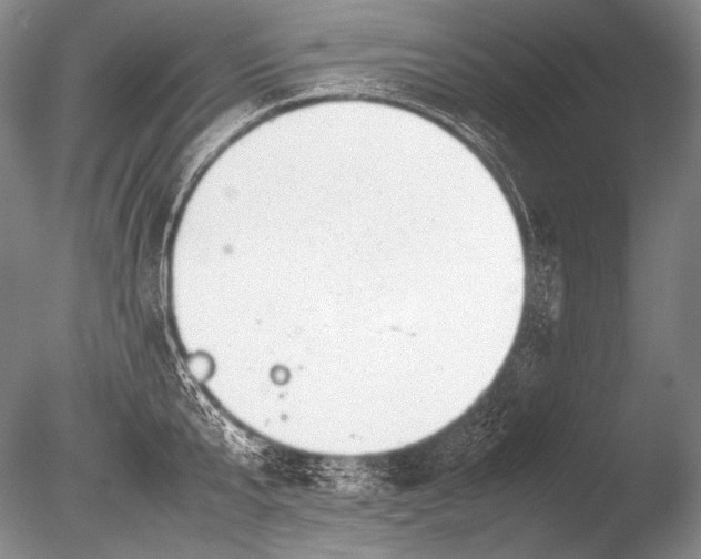 X0000085730807200703301400