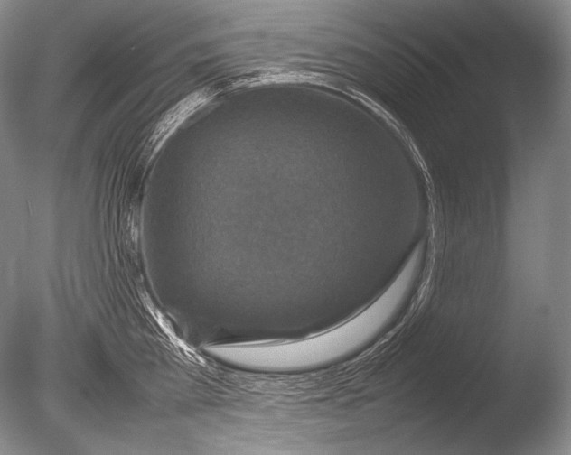 X0000085730809200703301400