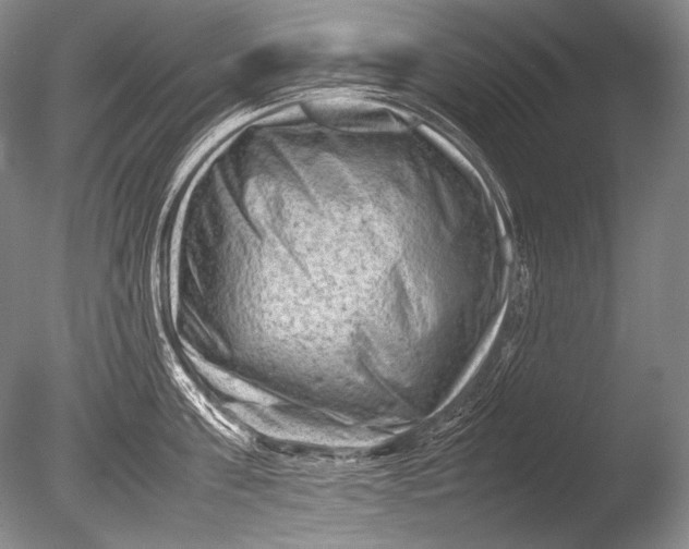 X0000085730811200703301400