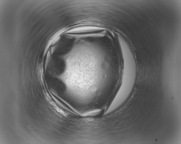 X0000085730812200703301400