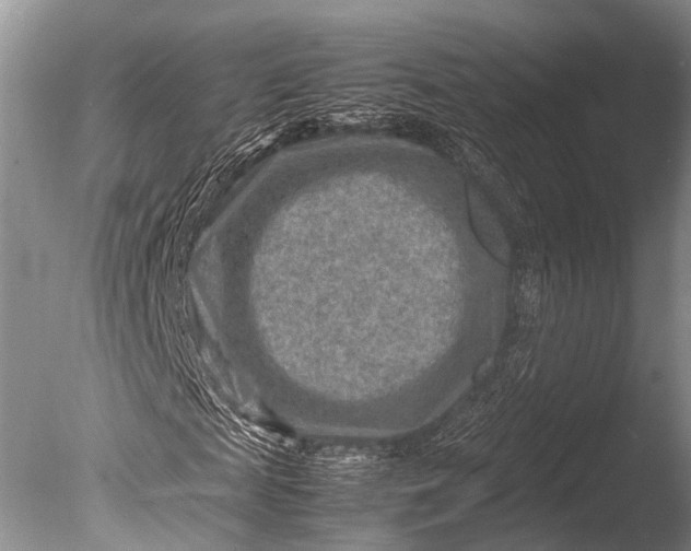 X0000085730817200703301359