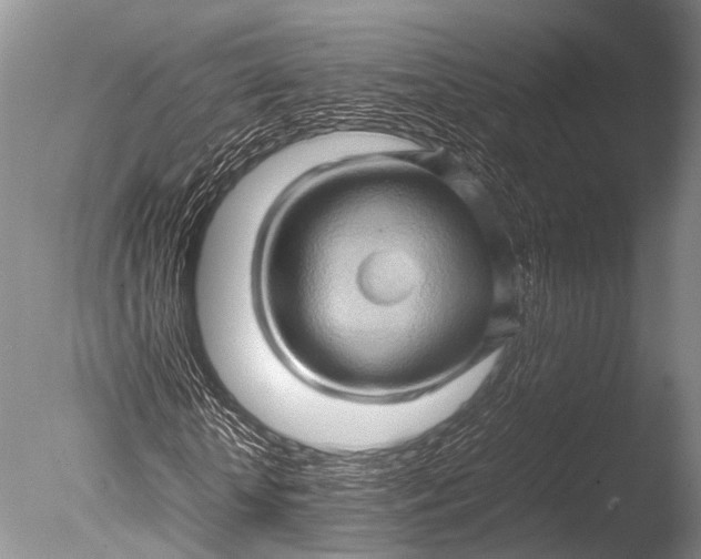 X0000085730818200703301359