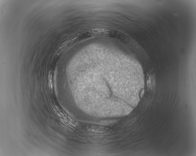 X0000085730819200703301359