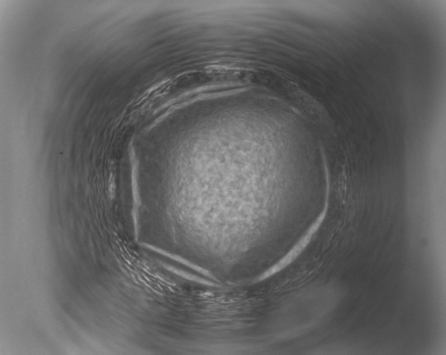 X0000085730821200703301359