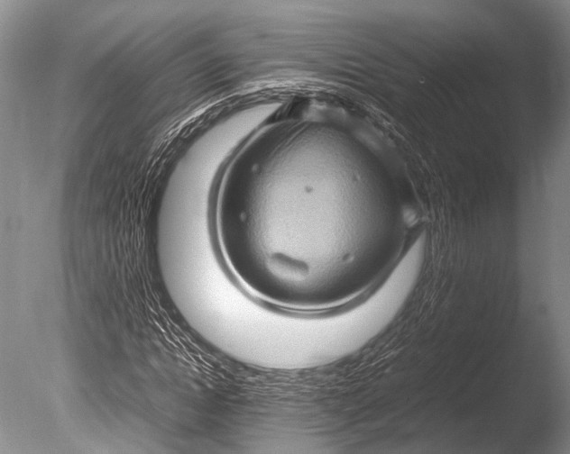 X0000085730822200703301359