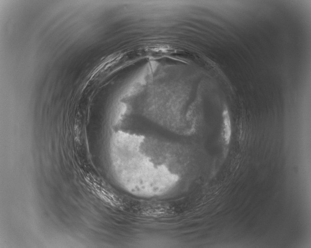 X0000085730823200703301359