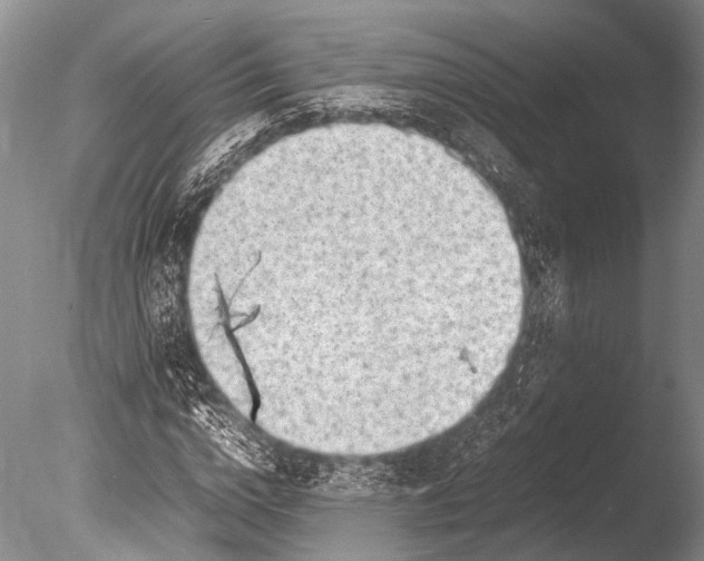 X0000085730824200703301359