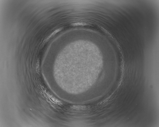 X0000085730825200703301359