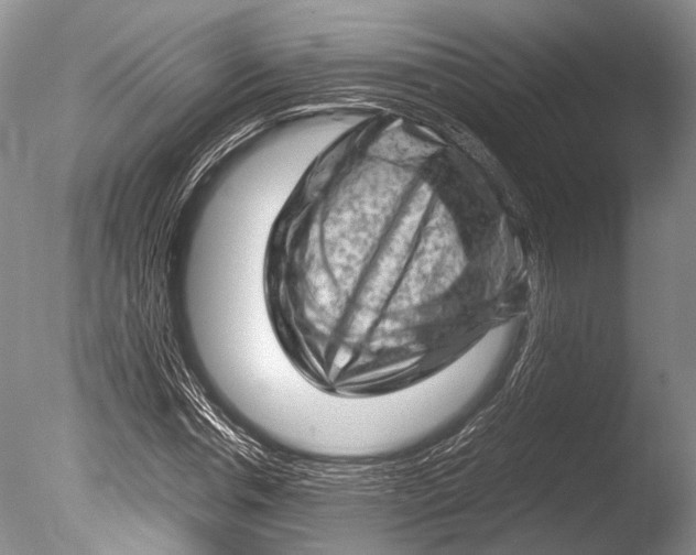 X0000085730826200703301359