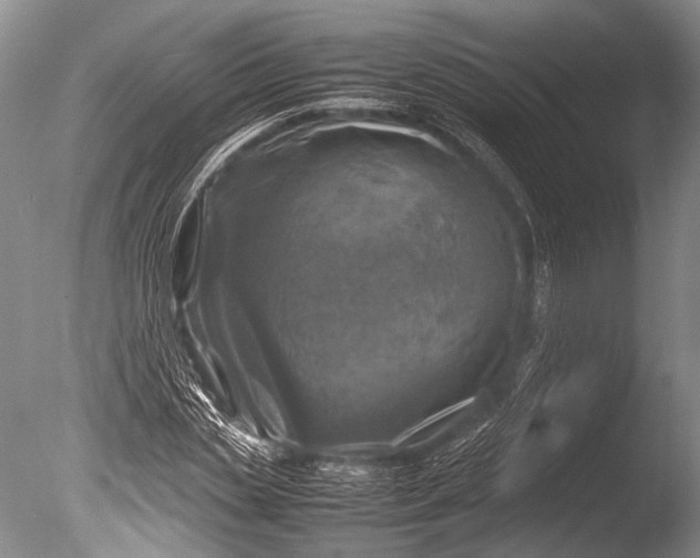 X0000085730829200703301359