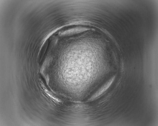 X0000085730830200703301359