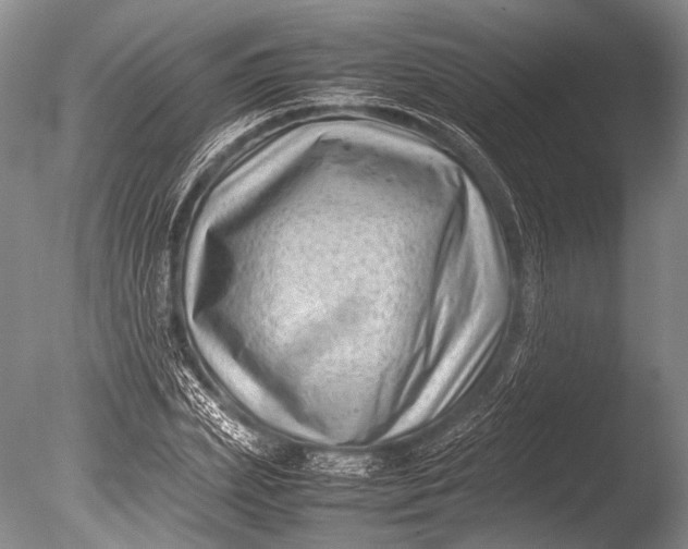 X0000085730831200703301359