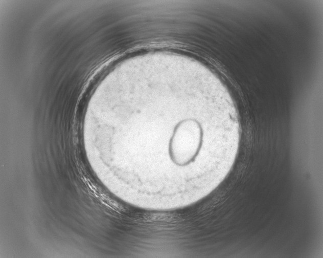 X0000085730832200703301359