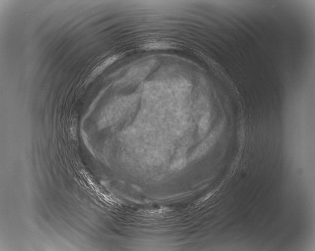 X0000085730833200703301359