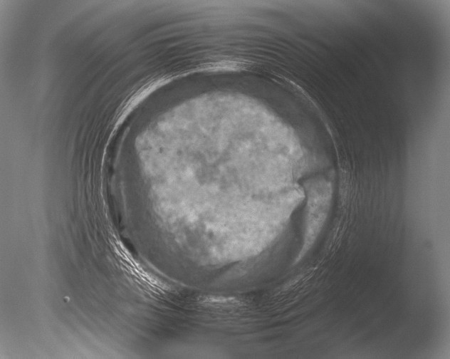 X0000085730835200703301359