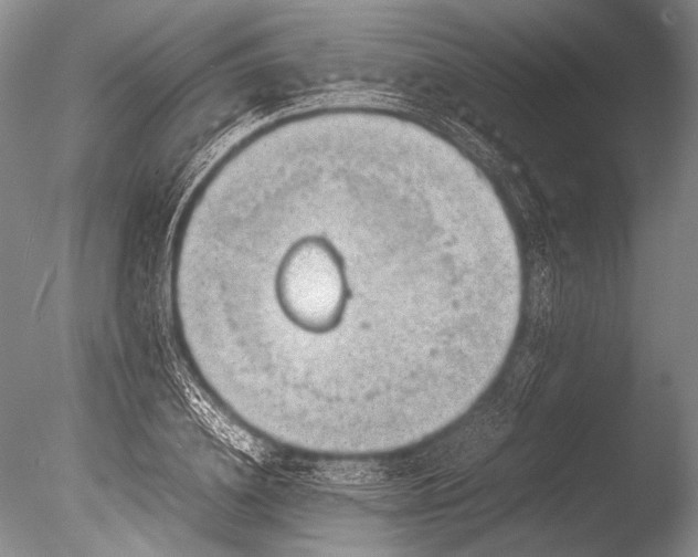 X0000085730836200703301359