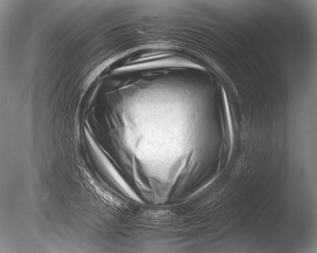 X0000085730837200703301359