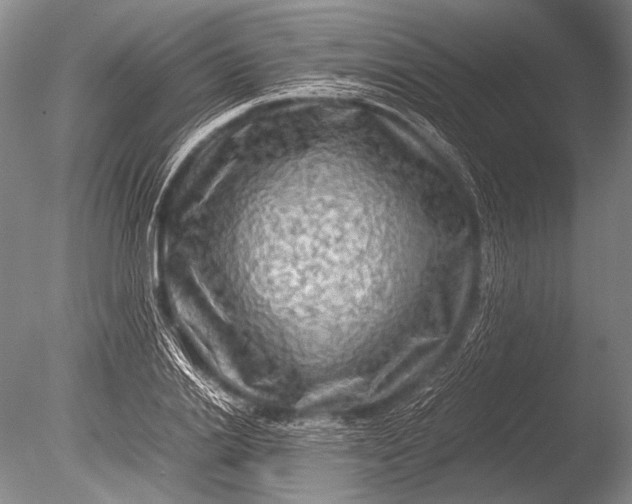 X0000085730838200703301359