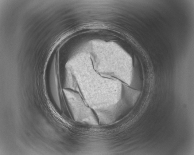 X0000085730840200703301359