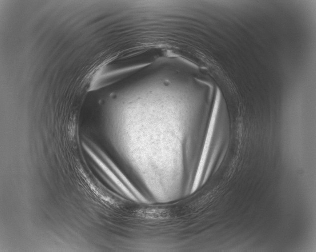 X0000085730841200703301359