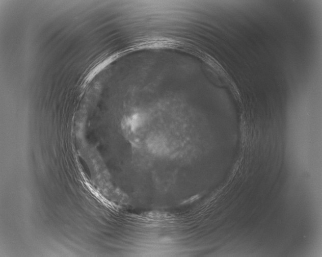 X0000085730842200703301359