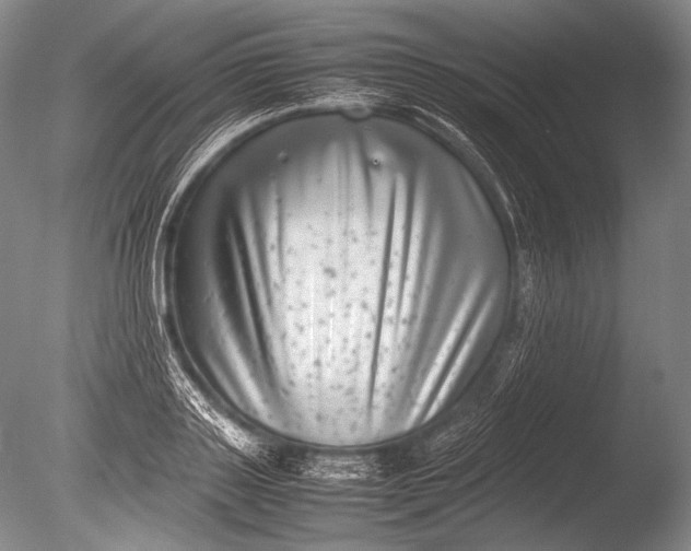 X0000085730843200703301359