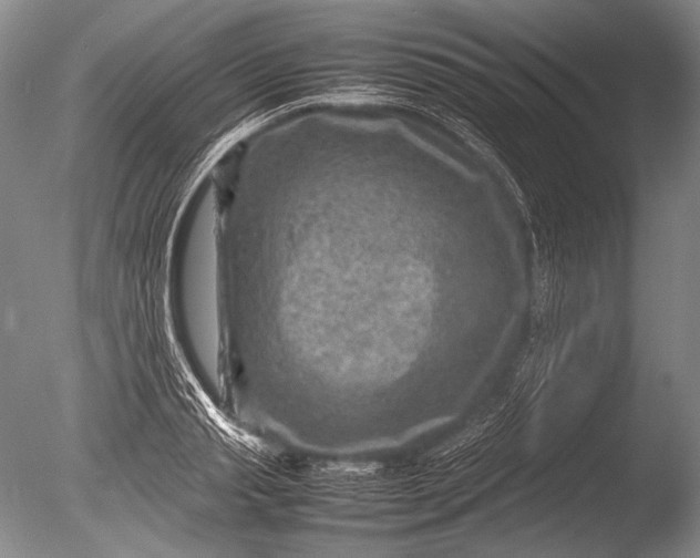 X0000085730845200703301359