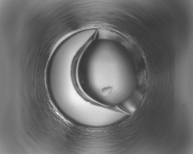 X0000085730846200703301359