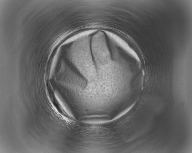 X0000085730847200703301359