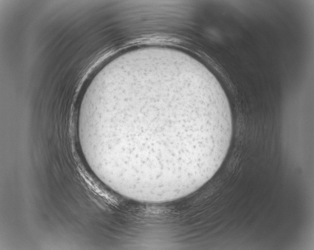 X0000085730848200703301359