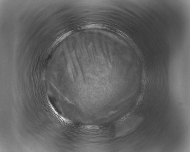 X0000085730849200703301359