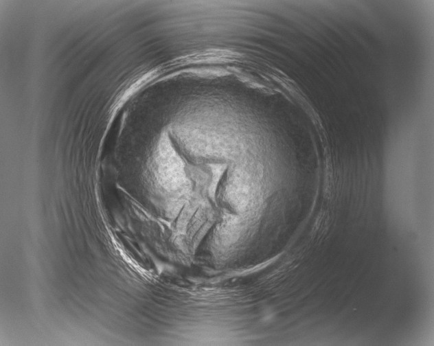 X0000085730850200703301359