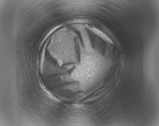 X0000085730852200703301359