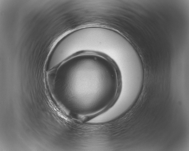 X0000085730854200703301359