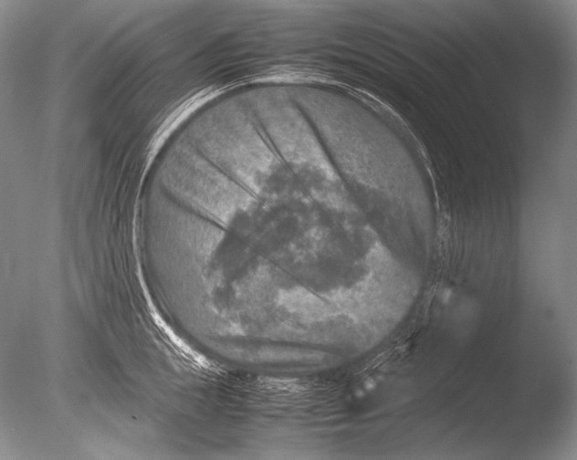 X0000085730855200703301359