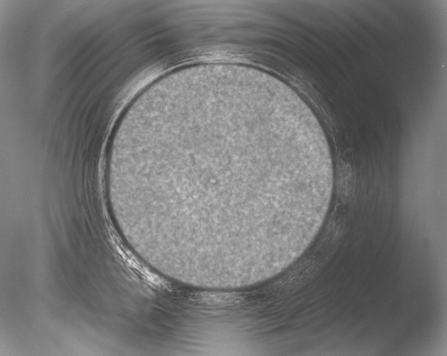 X0000085730856200703301359