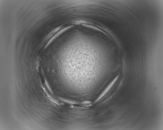 X0000085730857200703301359