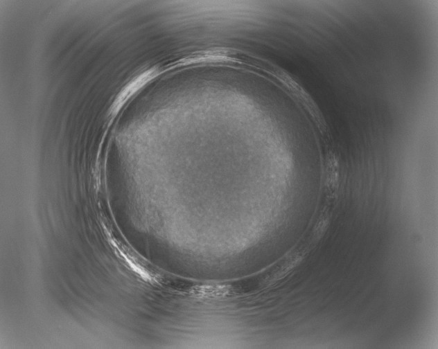 X0000085730858200703301359