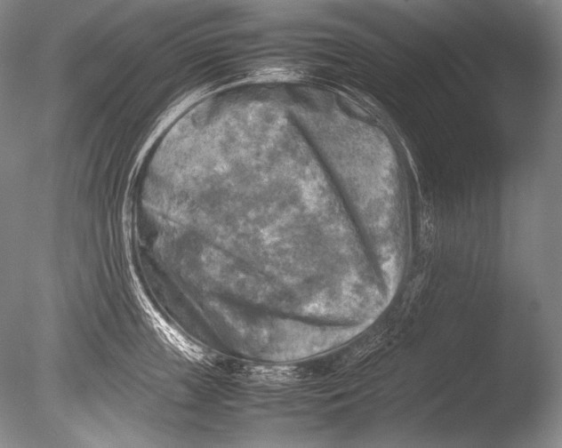 X0000085730859200703301359