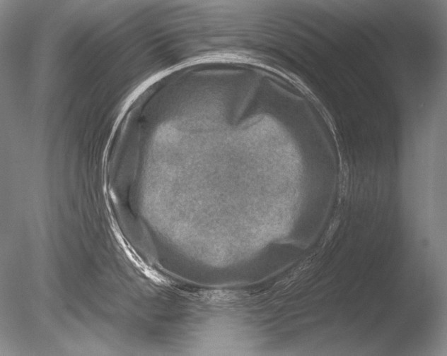 X0000085730862200703301359