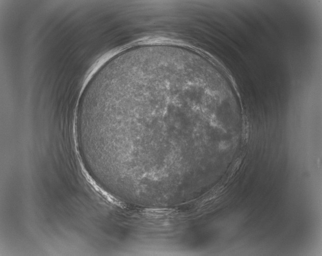 X0000085730863200703301359